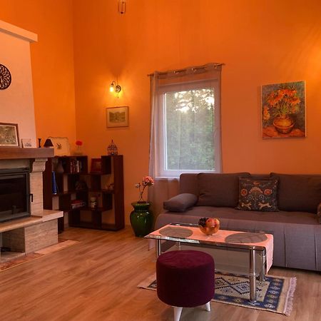 Patrick House Villa Tivat Luaran gambar